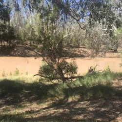 Balonne River - St George QLD