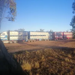 Balonne River - St George QLD
