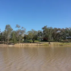 Balonne Shire Art Gallery - St George QLD