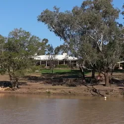 Balonne Shire Art Gallery - St George QLD