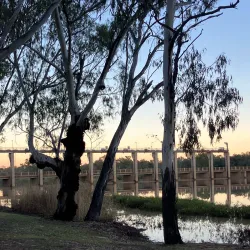 Jack Taylor Park - St George QLD