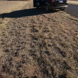 St George Golf Club - St George QLD