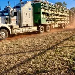 St George Showgrounds - St George QLD