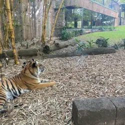 Australia Zoo - Sunshine Coast