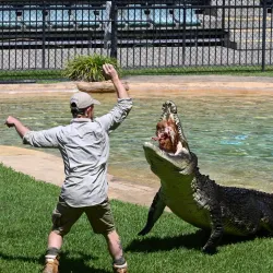 Australia Zoo - Sunshine Coast