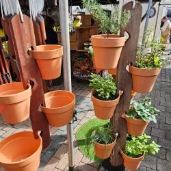 Eumundi Markets - Sunshine Coast