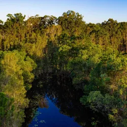 Glass House Mountains National Park - Sunshine Coast