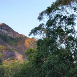 Glass House Mountains National Park - Sunshine Coast