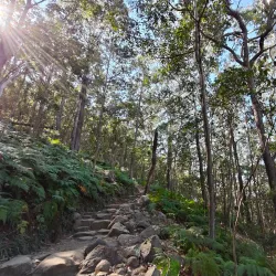 Glass House Mountains National Park - Sunshine Coast