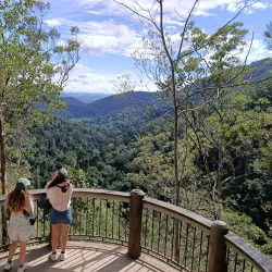 Kondalilla National Park - Sunshine Coast