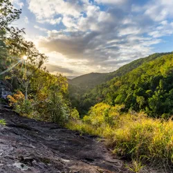 Kondalilla National Park - Sunshine Coast