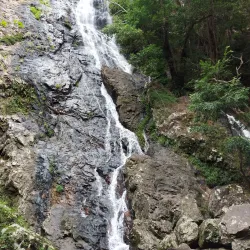 Kondalilla National Park - Sunshine Coast