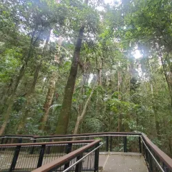 Mary Cairncross Scenic Reserve - Sunshine Coast