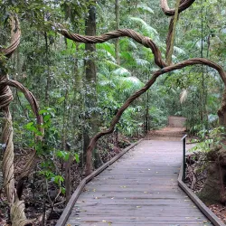 Mary Cairncross Scenic Reserve - Sunshine Coast
