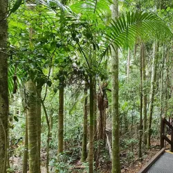 Mary Cairncross Scenic Reserve - Sunshine Coast