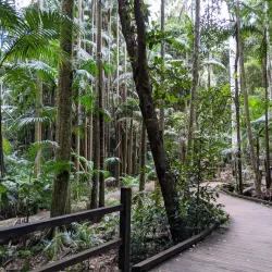 Mary Cairncross Scenic Reserve - Sunshine Coast