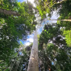 Mary Cairncross Scenic Reserve - Sunshine Coast