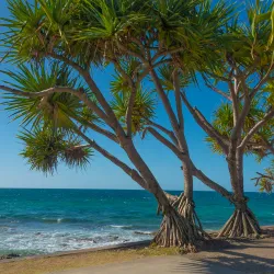 Mooloolaba Beach - Sunshine Coast