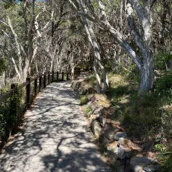 Noosa National Park - Sunshine Coast