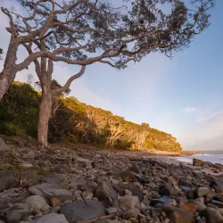 Noosa National Park - Sunshine Coast