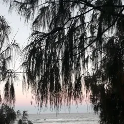 Peregian Beach - Sunshine Coast