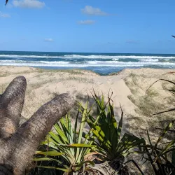Peregian Beach - Sunshine Coast