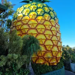 The Big Pineapple - Sunshine Coast