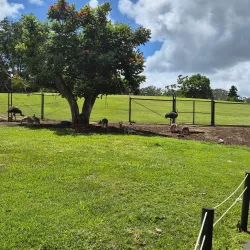 The Big Pineapple - Sunshine Coast