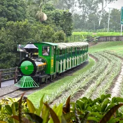 The Big Pineapple - Sunshine Coast