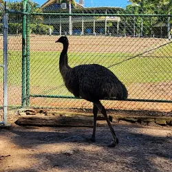 The Big Pineapple - Sunshine Coast