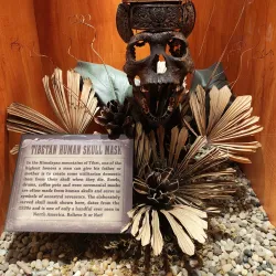 Ripley's Believe It or Not! Surfers Paradise - Surfers Paradise (Gold Coast)