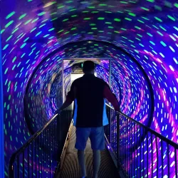 Ripley's Believe It or Not! Surfers Paradise - Surfers Paradise (Gold Coast)