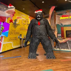 Ripley's Believe It or Not! Surfers Paradise - Surfers Paradise (Gold Coast)