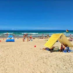 Surfers Paradise Foreshore Park - Surfers Paradise (Gold Coast)