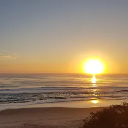 Surfers Paradise Foreshore Park - Surfers Paradise (Gold Coast)