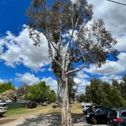 Local Farms and Markets - Sutton