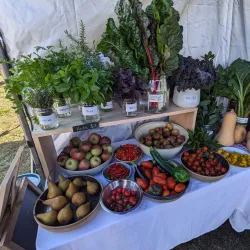 Local Farms and Markets - Sutton