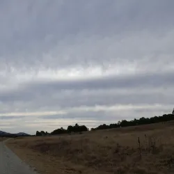 Murrumbidgee River Corridor - Sutton