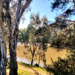 Murrumbidgee River Corridor - Sutton