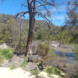 Murrumbidgee River Corridor - Sutton