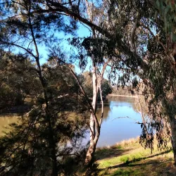 Murrumbidgee River Corridor - Sutton