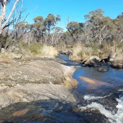 Namadgi National Park - Sutton