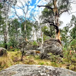 Namadgi National Park - Sutton