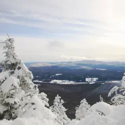 Sutton Road Nature Walks - Sutton