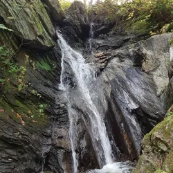 Sutton Road Nature Walks - Sutton