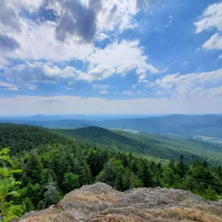 Sutton Road Nature Walks - Sutton