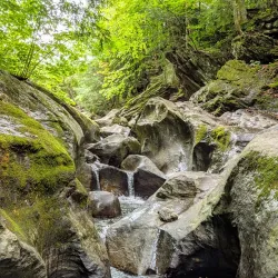 Sutton Road Nature Walks - Sutton