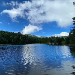 Sutton Road Nature Walks - Sutton