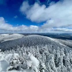 Sutton Road Nature Walks - Sutton