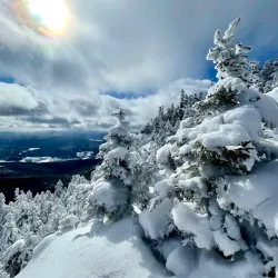 Sutton Road Nature Walks - Sutton